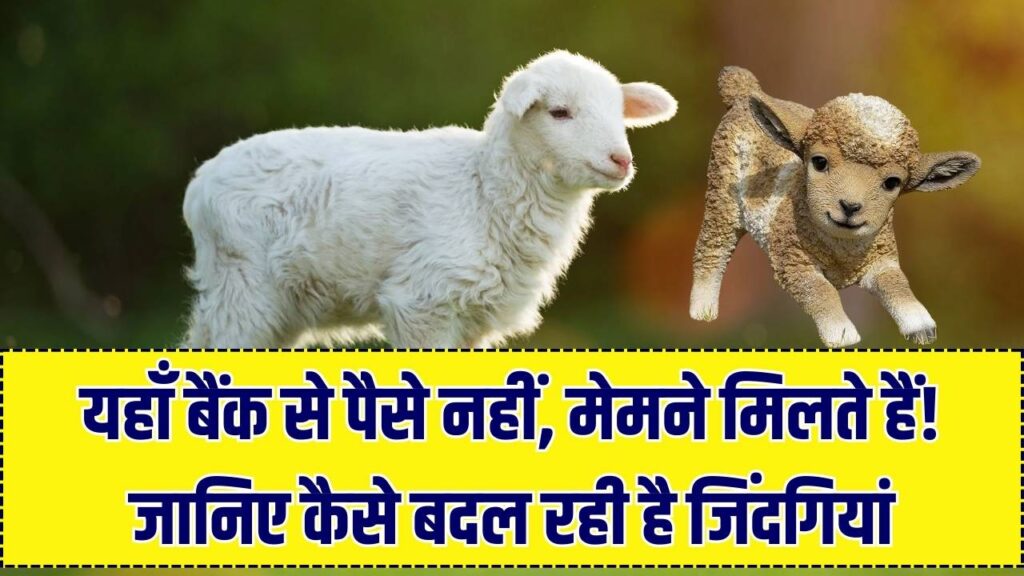 अनोखा बैंक: यहाँ ब्याज में मिलते हैं 'मेमने'! बिना कागजी कार्रवाई के गरीबों को मिल रहा है सहारा, जानें पूरी कहानी।