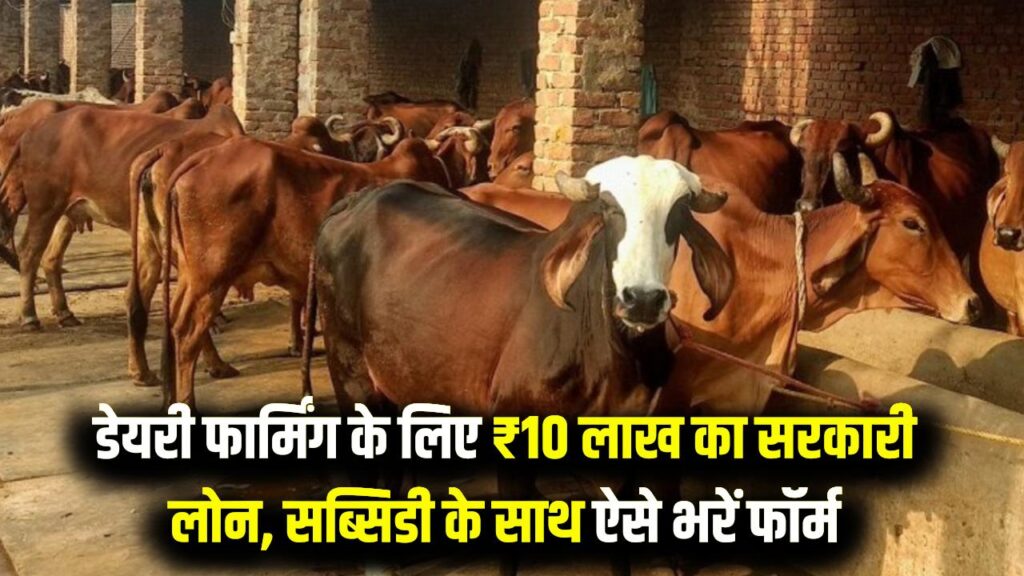 Dairy Farming Loan: गाय-भैंस पालने के लिए सरकार दे रही है ₹10 लाख तक का लोन! भारी सब्सिडी के साथ ऐसे भरें फॉर्म