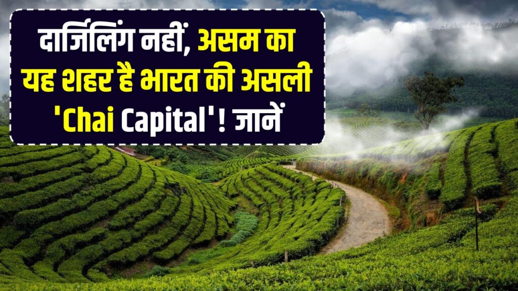 दार्जिलिंग नहीं, असम का यह शहर है भारत की असली 'Chai Capital'! जानें इसका दिलचस्प इतिहास और क्यों है यह खास।