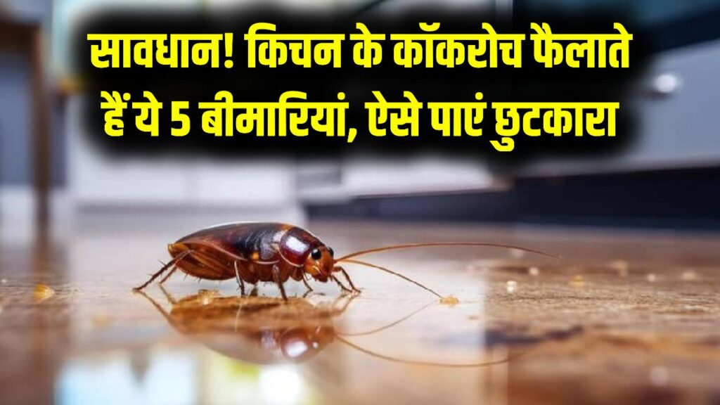 किचन के कॉकरोच बन सकते हैं जानलेवा! फैलती हैं ये 5 खतरनाक बीमारियां, इन्हें भगाने के 3 घरेलू उपाय