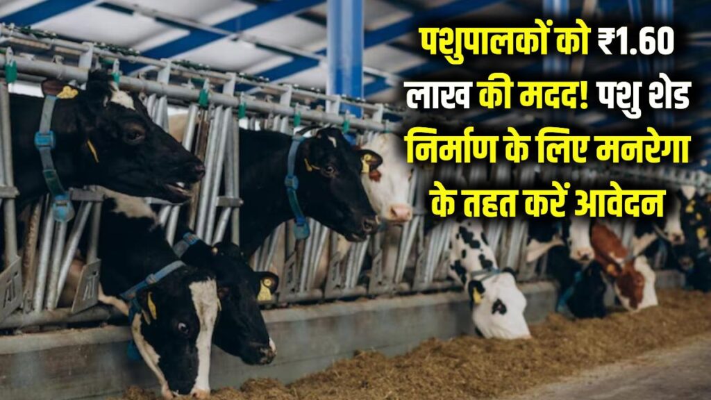 Pashu Shed Subsidy: सरकार देगी पशुपालकों को ₹1.60 लाख! मनरेगा के तहत पशु शेड निर्माण के लिए ऑनलाइन आवेदन करें और पूरी मदद पाएं।