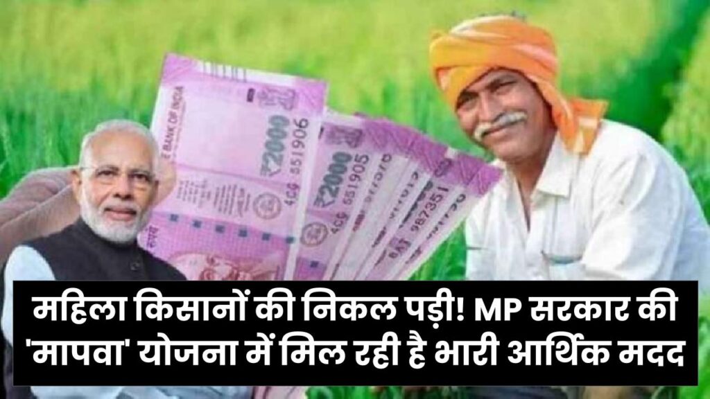 महिला किसानों की निकल पड़ी! MP सरकार की 'मापवा' योजना में मिल रही है भारी आर्थिक मदद; जानें किसे और कैसे मिलेगा लाभ।