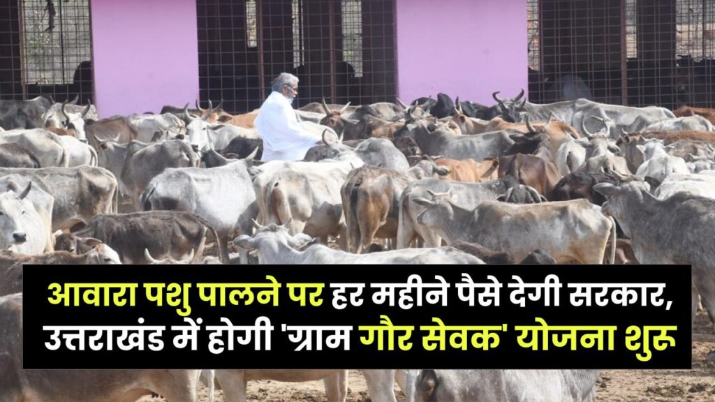 आवारा पशु पालने पर हर महीने पैसे देगी सरकार, उत्तराखंड में होगी 'ग्राम गौर सेवक' योजना शुरू