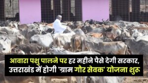 आवारा पशु पालने पर हर महीने पैसे देगी सरकार, उत्तराखंड में होगी 'ग्राम गौर सेवक' योजना शुरू